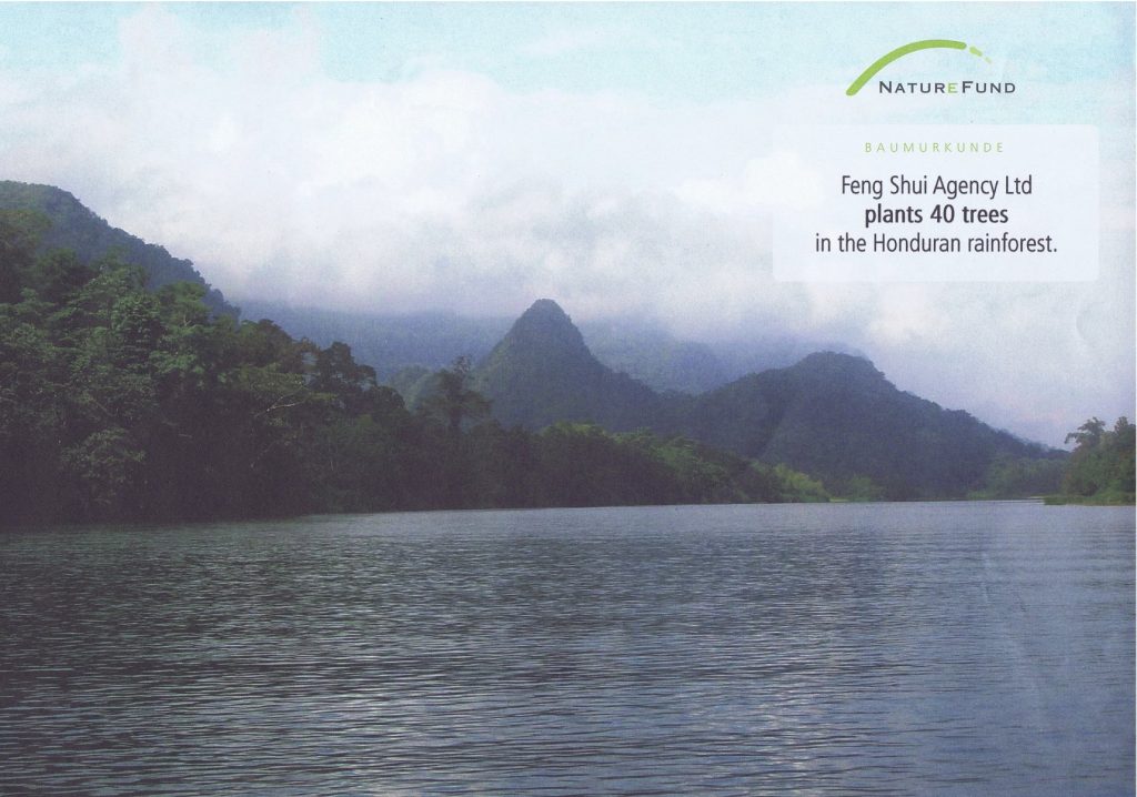 Naturefund Honduras Rainforest Sponsor Certificate