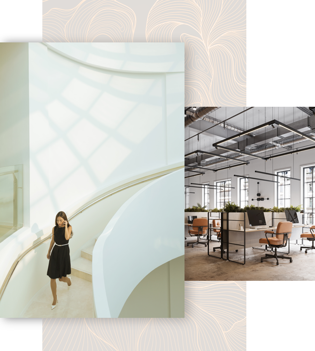 Feng Shui Consultants