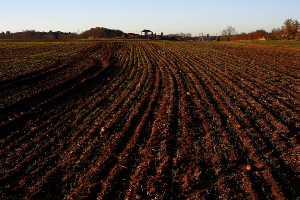 Ploughed field of earth